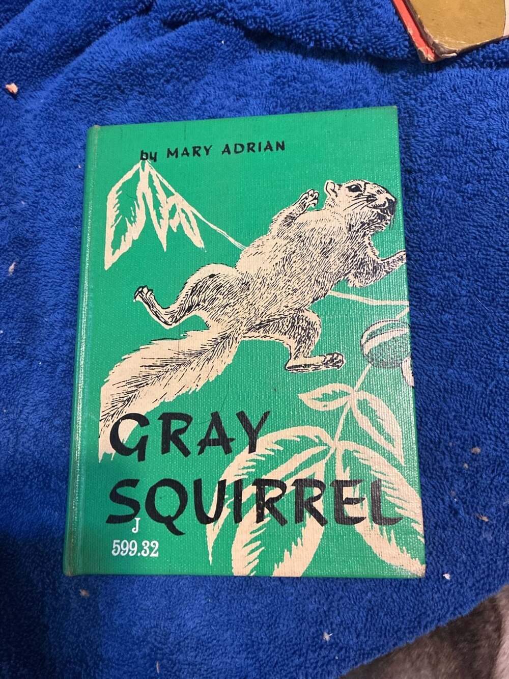 Gray Squirrel by Mary Adrian (1955, Holiday House)